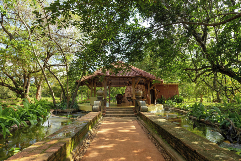 Property grounds, AARA Wild Sigiriya, Dambulla