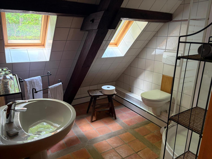 Bathroom 2, Relais Equestre du Neufeld - Suite ETE, Bas-Rhin