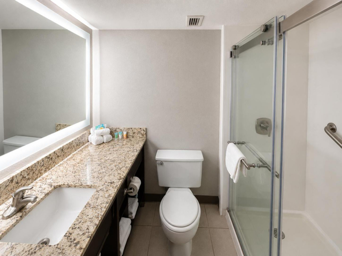 Bathroom 4, Expedition Lodge Estes Park, Larimer
