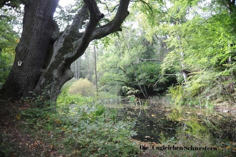 Others 4, Ferienwohnungen "Christelhof", Mecklenburgische Seenplatte