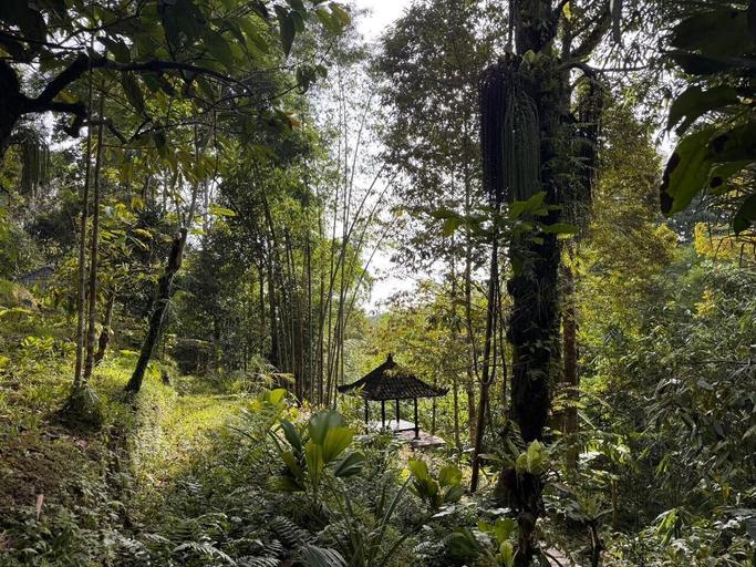 Property grounds 4, Jiwa Eco Escape, Tabanan