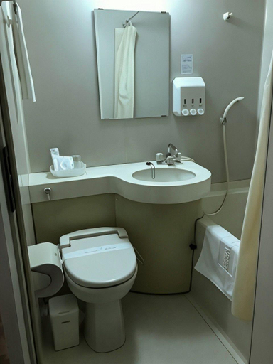 Bathroom, Okazaki Ohwa Hotel, Okazaki