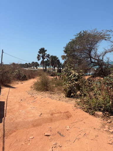 Others 4, FHS Foundation House, Kombo Saint Mary