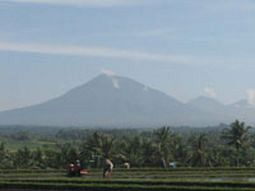 Others 3, Soka Indah Restaurant & Bungalows, Tabanan