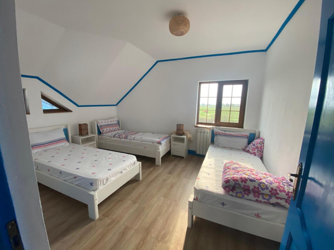 Others 3, Casa cu flori, Crisan