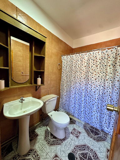 Bathroom, hostal qachisolcor, El Loa