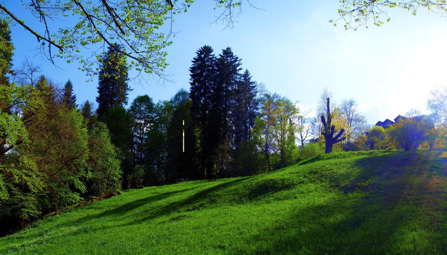 Surrounding environment 3, Silberburg Bad Wildbad, Calw