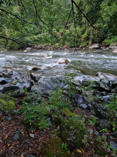 Miscellaneous 2, entre arrayanes lodge, Cautín