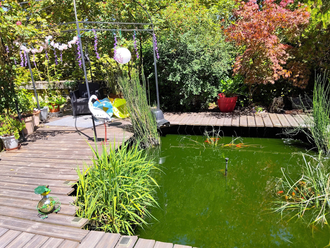 Property grounds, A LOT OF CAHORS, Lot
