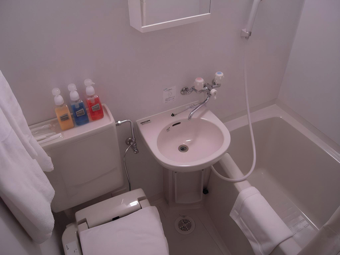 Bathroom 4, Hotel Fosse Himeji, Himeji