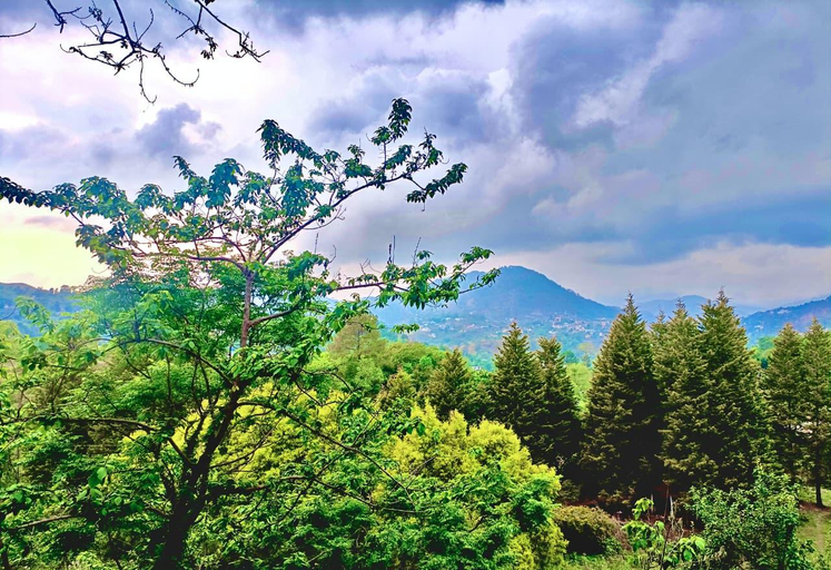 Others 4, Junoon Villa, Nainital