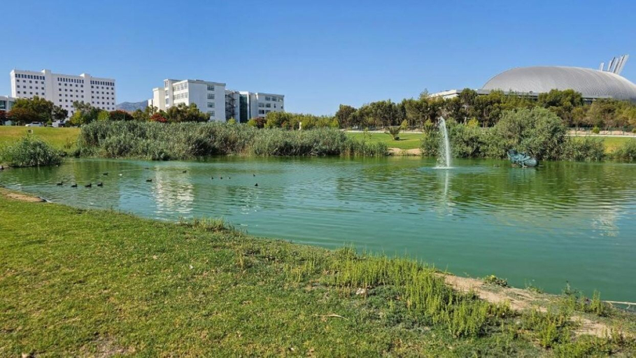 Front of property 2, Dorana Hotel Lefkosa