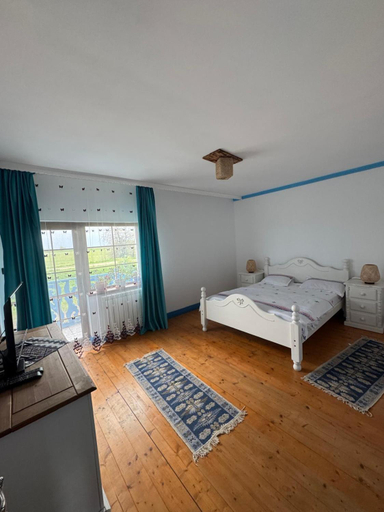 Bedroom 4, Casa cu flori, Crisan