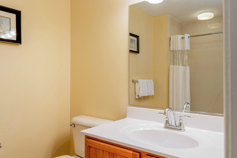 Bathroom 5, Massanutten Resort, Rockingham