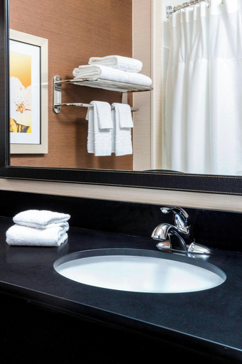 Bathroom 4, Fairfield Inn & Suites Kansas City Lee's Summit, Kansas City