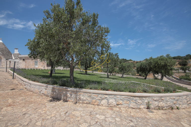 Exterior 4, TD Trulli Benedetta w/ Pool in Peaceful Nature, Bari