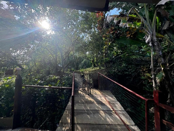 Property grounds, Cabinas & Glamping El Mango, Talamanca