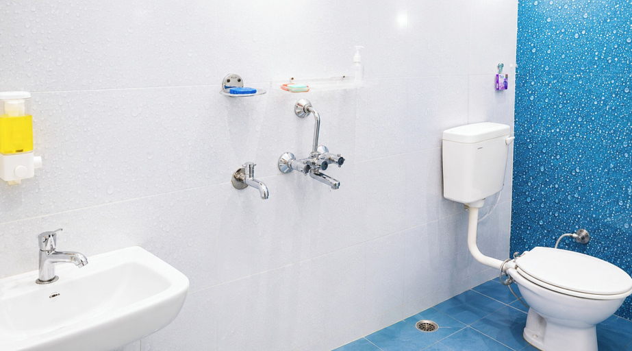 Bathroom, Hotel Star Residency Varanasi, Varanasi