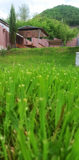 Others 1, Sanahin VaLiVa Guest House