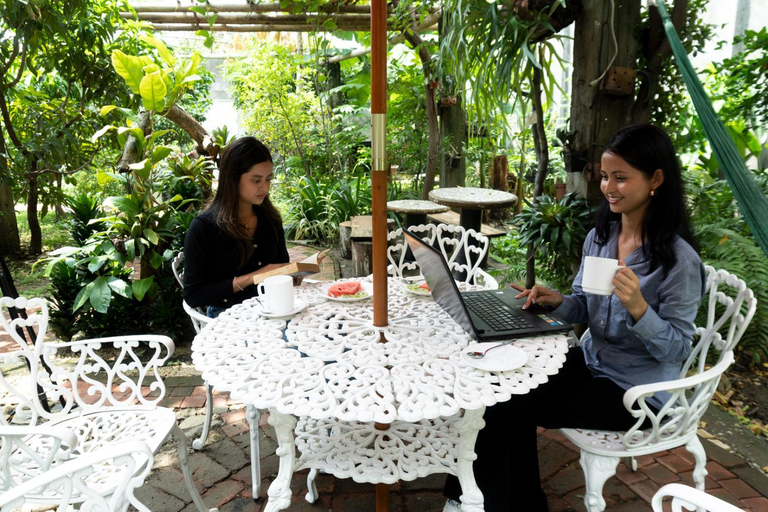 Food & Drinks 2, Hostal Macaw, Guayaquil