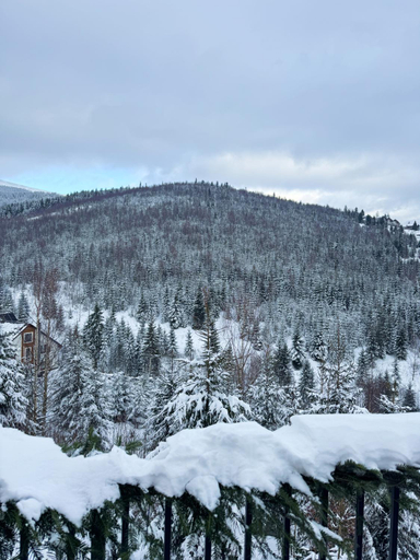 Others 4, Chalet Panorama (Апартаменти), Nadvirnians'kyi