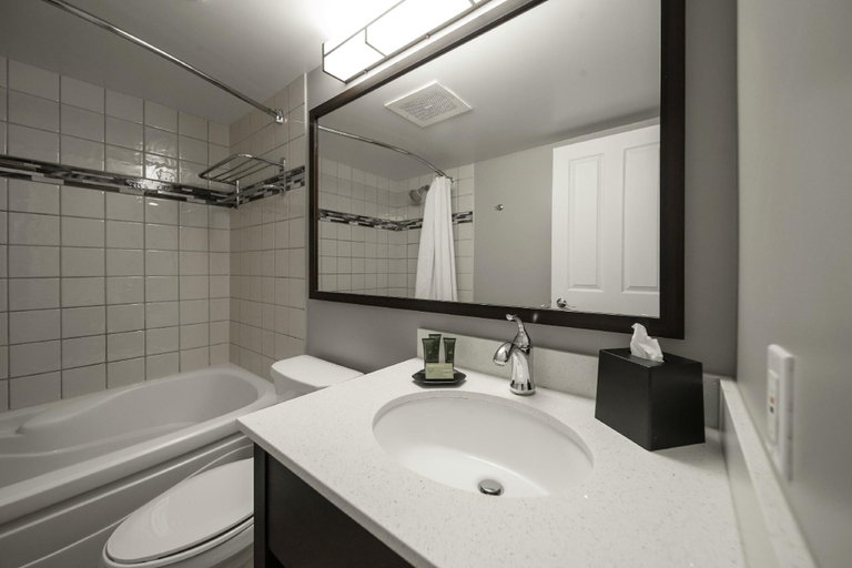 Bathroom 3, Blue Mountain Resort, Grey