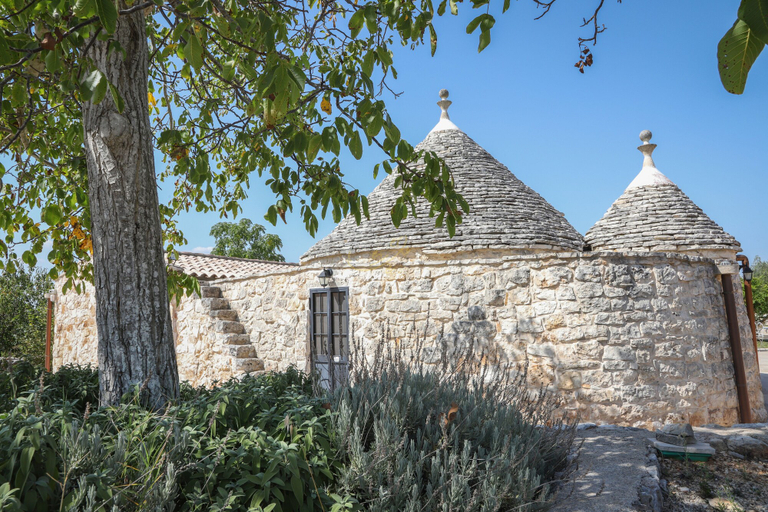 Exterior & Views, TD Trulli Della Lama Private Trulli With Pool, Bari