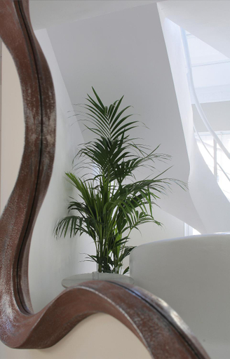 Lobby 4, Hostal Medea, Barcelona