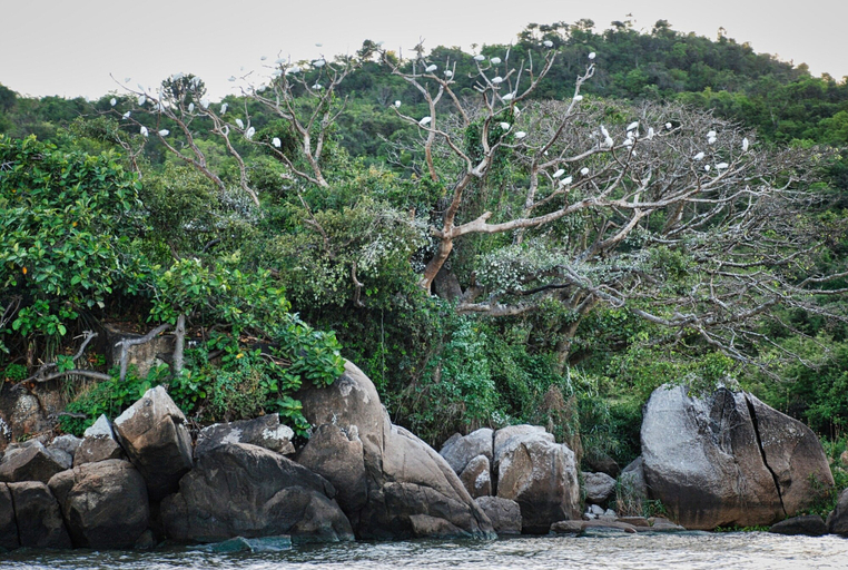 Miscellaneous 3, Wayando Beach Eco Lodge, Mbita