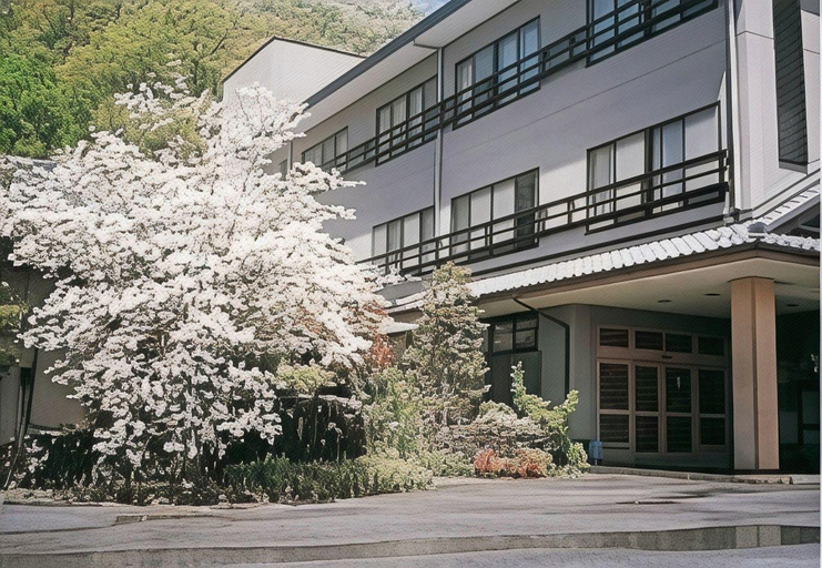 Others 3, Ryokan Hinode Onsen, Fuefuki