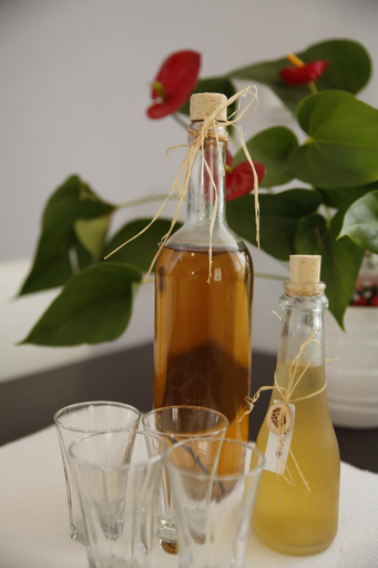 Food & Drinks, Apartments Ines, Vodice