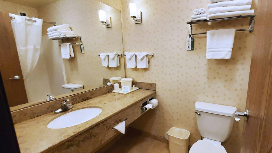 Bathroom 4, Grand Pikes Peak, El Paso