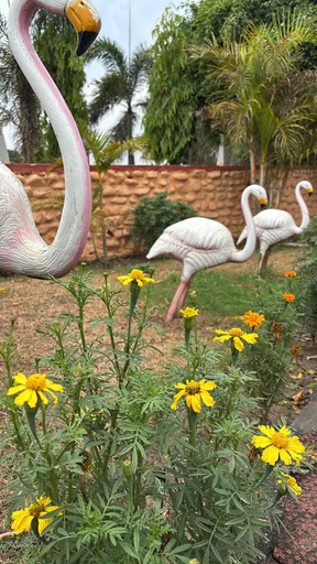 Property grounds 3, Hotel GardenView Kurukshetra, Kurukshetra