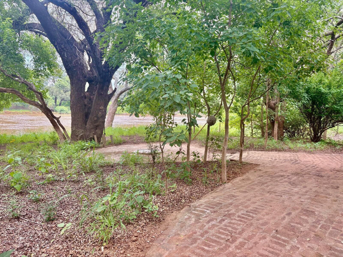 Miscellaneous 4, Limpopo River Lodge
