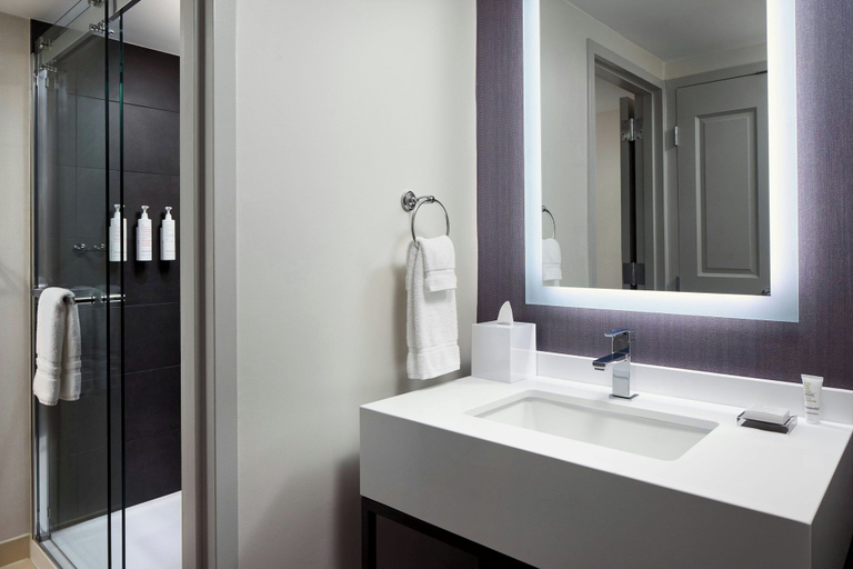 Bathroom 4, Falls Church Marriott Fairview Park, Fairfax