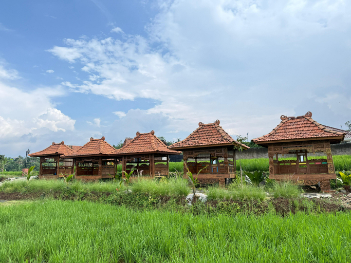 Other View & Surrounding