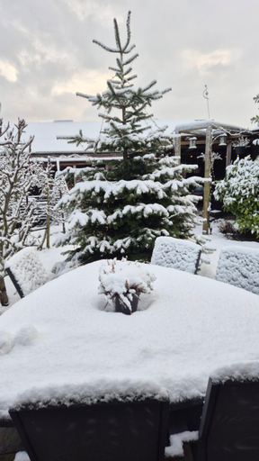 Others 2, B&B Skitter-Rent, Wervershoof