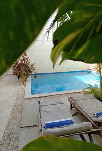 Swimming pool 4, Hotel Centrico Tulum, Cozumel