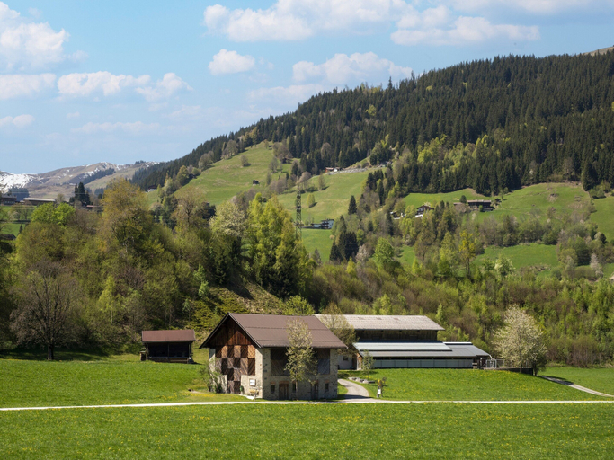 View from property 4, Spacious Holiday Apartment Near Kitzbuhel, Kitzbühel