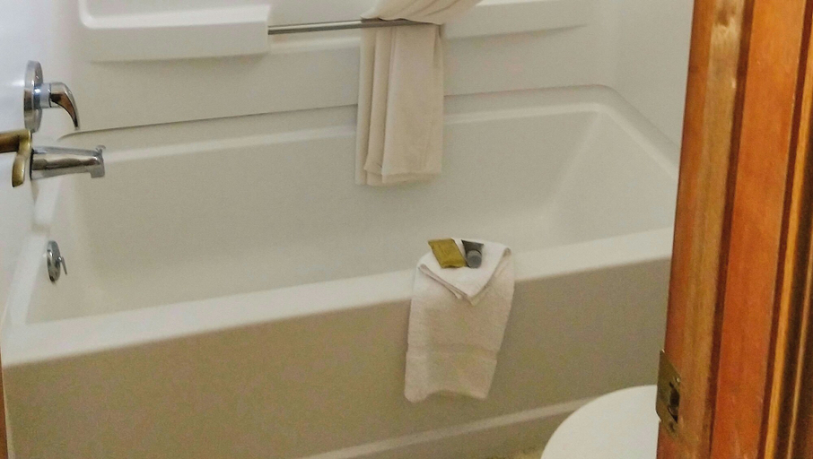 Bathroom 4, Magnuson Grand Rushmore View, Pennington