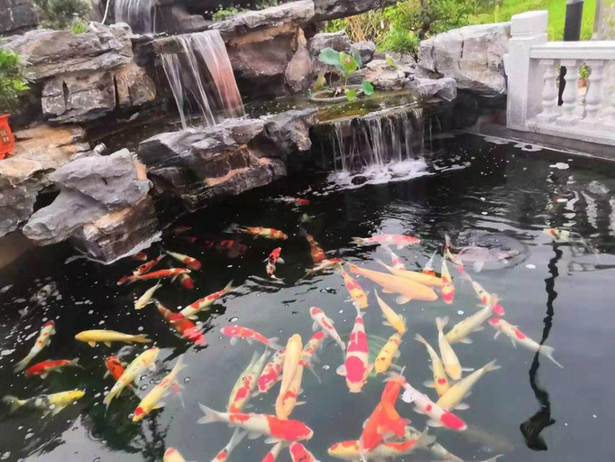 3, Kyriad Marvelous Hotel Luoding Huanshi East Road, Yunfu