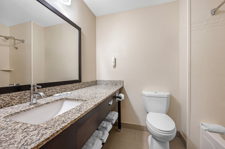 Bathroom 5, Quality Inn & Suites Goshen, Elkhart