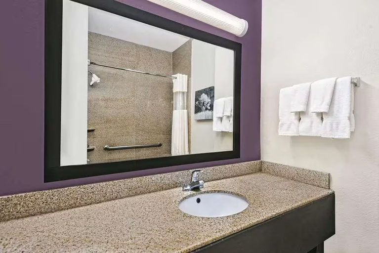 Bathroom, Quality Inn & Suites, Fort Bend