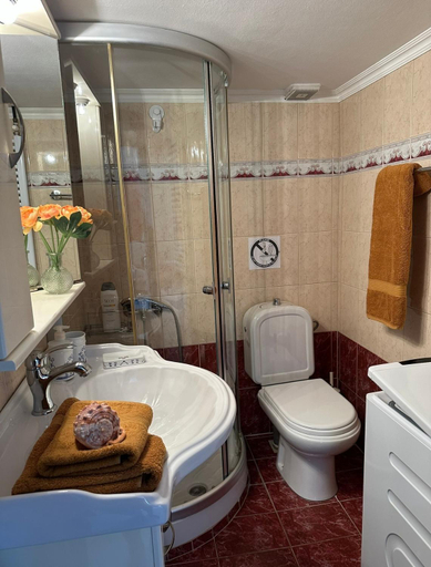 Bathroom 2, Olivia -Ελια, East Macedonia and Thrace