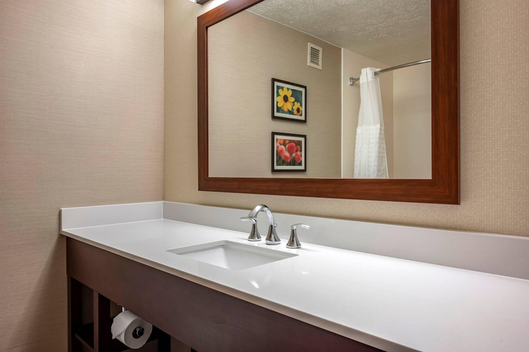 Bathroom 4, Comfort Suites State College near Penn State, Centre