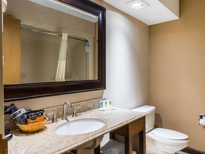 Bathroom, Home2 Suites by Hilton McHenry Deep Creek Lake, Garrett