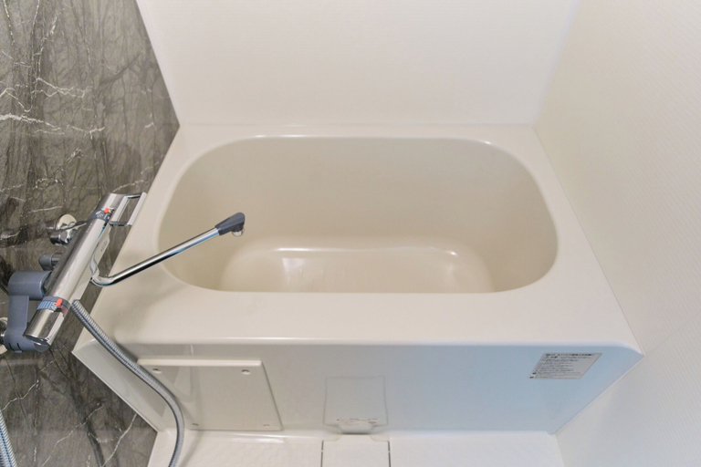 Bathroom 4, Sarcosuchus Higashikomagata, Sumida