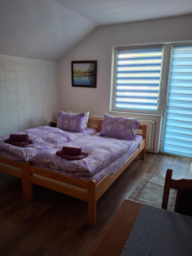 Bedroom 4, Apartmani Popovic, Irig