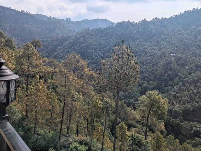 Others 4, Oak Mounts, Nainital