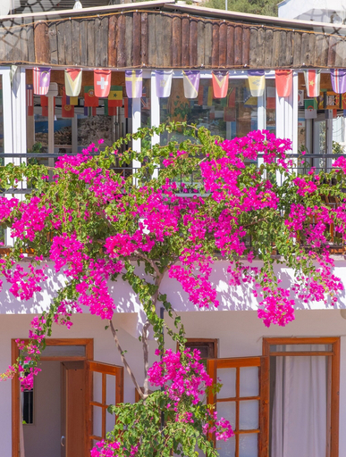 Exterior detail 5, Kaş Meltem Pansiyon, Kaş